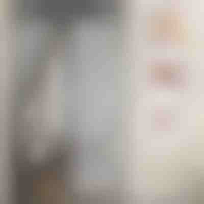 Магнітна москітна сітка для дверей | INSECTPROTECT