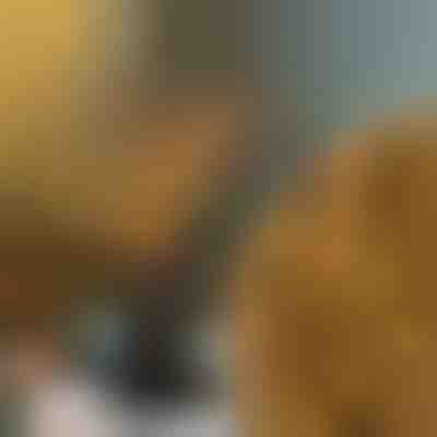 Світлодіодні гілки | BRANCHLUMOS