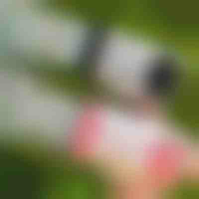 LED-пістолет для мильних бульбашок з 69 отворами | BUBBLEPUFF