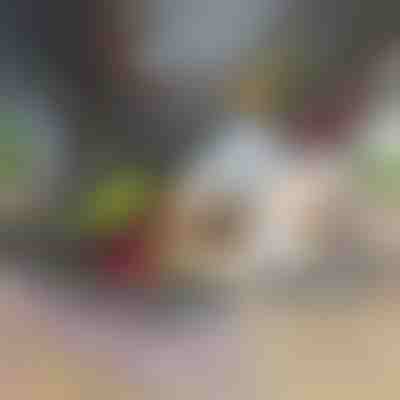 Кухонний комбайн та нарізувач 12 в 1 | CHOPMASTER