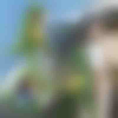 3D рюкзак у формі динозавра | DINOBACK