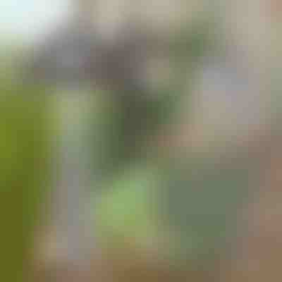 Садова мотига для легкого видалення бур'янів | GRASSOE