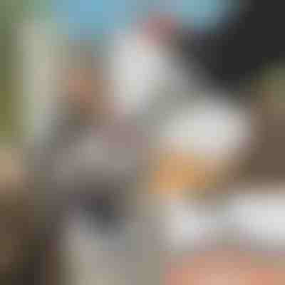 Інструмент для заточування ланцюгів бензопил + шліфувальник GRINNEX