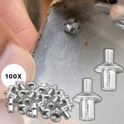 Набір замкових цвяхів (100 штук) | GRIPLOCKS