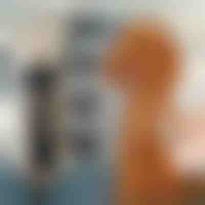 Набір машинок для стрижки домашніх тварин | GULAMACHINE