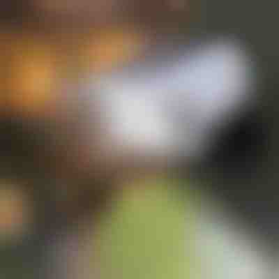 Сонячний рухомий датчик світла | LUMACAM