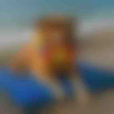 Охолоджувальний килимок для домашніх тварин (90x50 см) | PAWCHILL