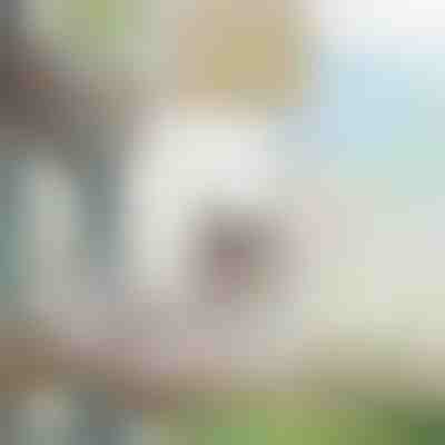 Підвісна гамака для котів та маленьких собак | PURRPAD