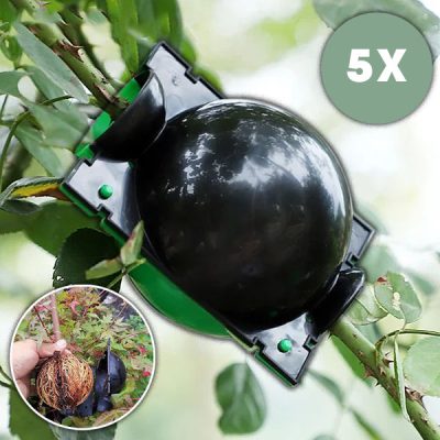 Коробка для розмноження здорових коренів (5 штук) | ROOTY