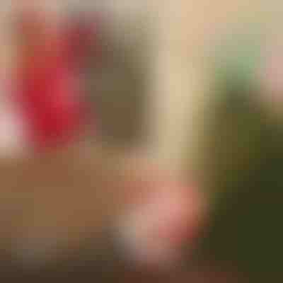 Санта Клаус з парашутом | SANTASWING