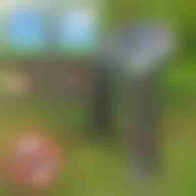 Сонячний відлякувач шкідливих тварин | SOLGUARD