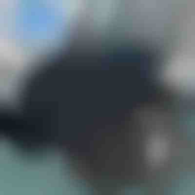 Поворотна подушка для сидіння | SPINPAD