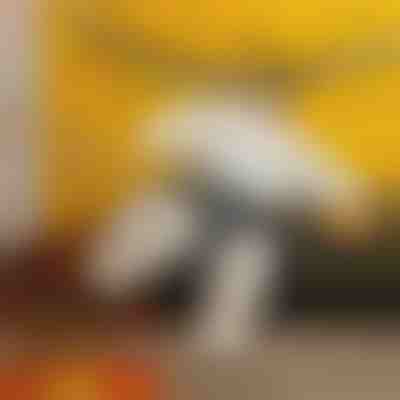 Надувний костюм сумоїста | SUMOCOS