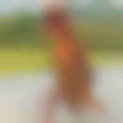 Надувний костюм динозавра | TREXCOS