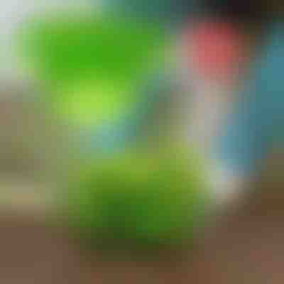 Захистіть від шкідників з VEGISHIELD (10 штук)