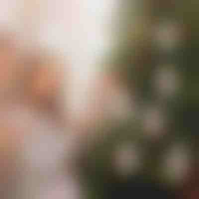 Новорічні прикраси для грошей (4 шт) | WEALTHMAS