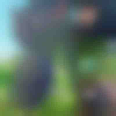 Заточувач для лез косарки | SHARPY