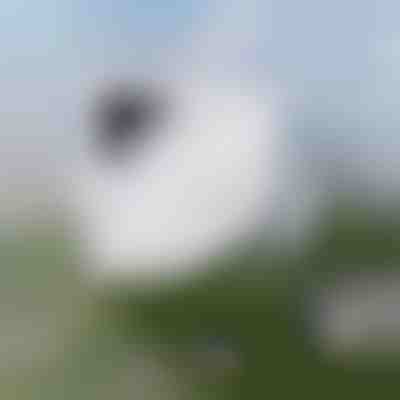 Легке миття вікон | WINDOWSWIPE