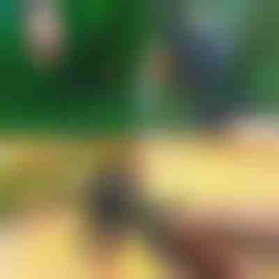 Професійні 2-в-1 садові ножиці для обрізки та щеплення | MASTERCUT