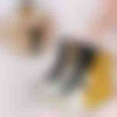 Шкарпетки з котячими лапками (3 пари) | GATOSOCKS